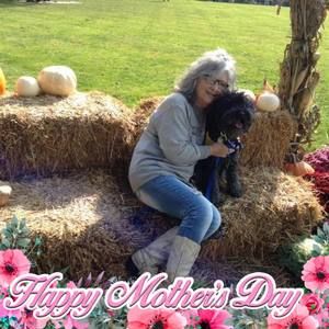 Meet your Posher, Jo ann